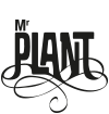 Monsieur Plant