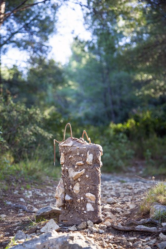 Back to nature - Monsieur Plant