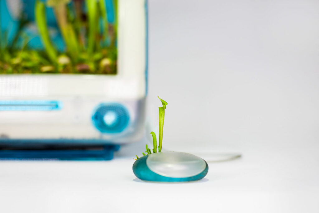 Plant Your Mac - Mr Plant