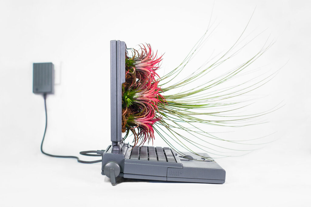 Plant Your Mac - Monsieur Plant