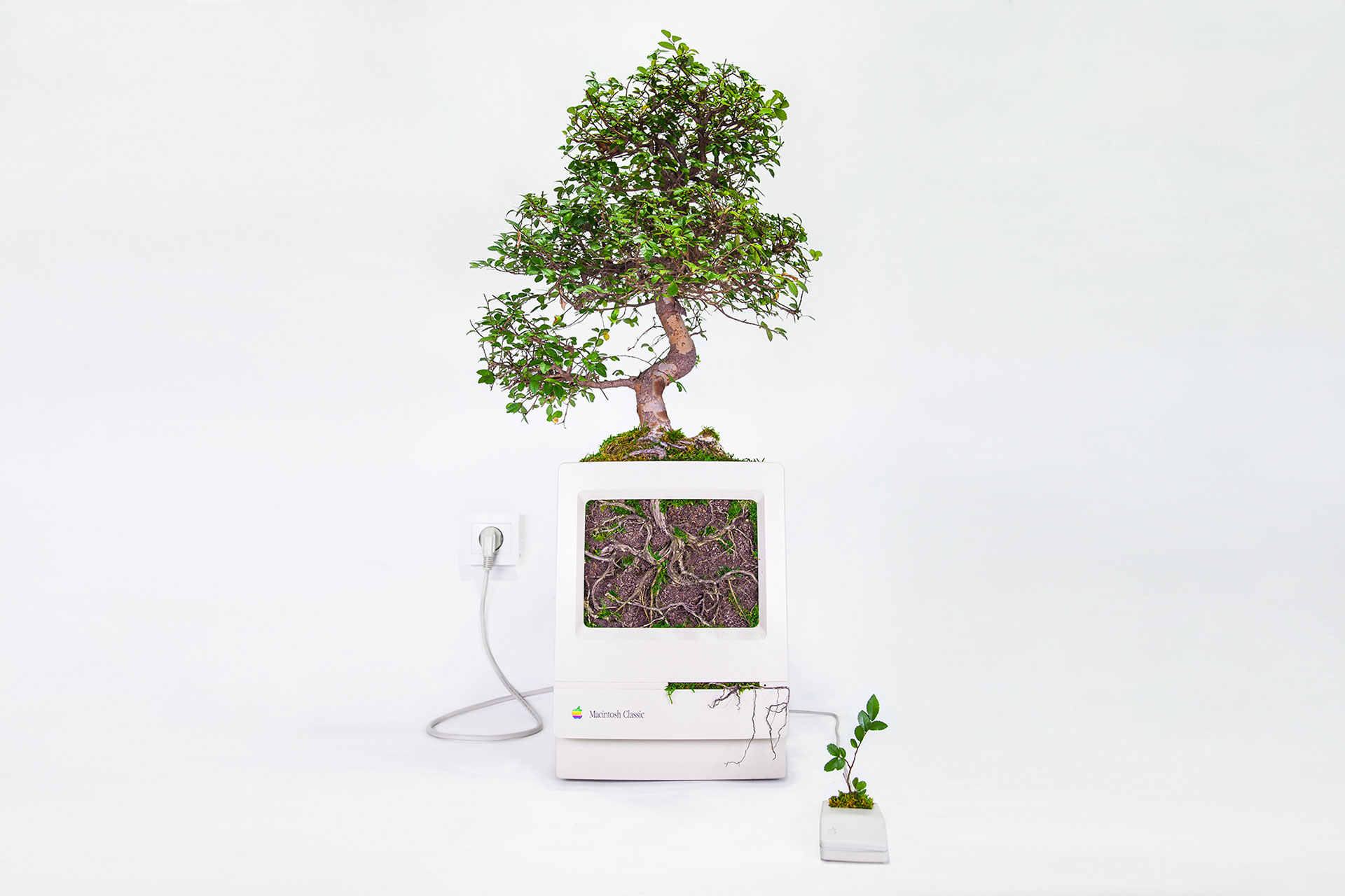 Plant Your Mac - Monsieur Plant