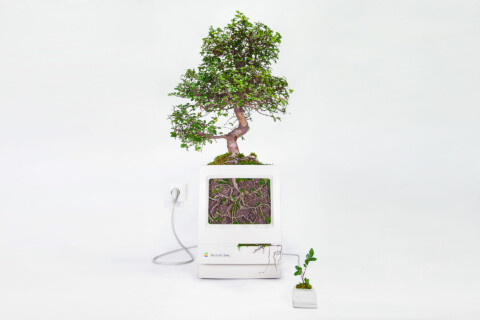 ~ Plant Your Mac ~