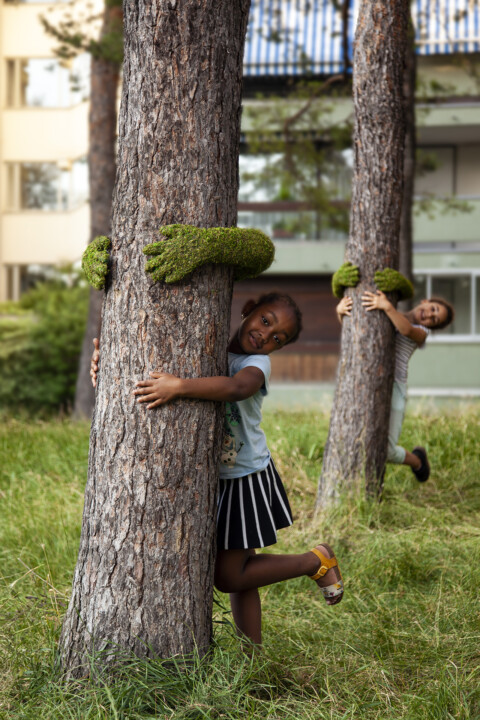 ~ Tree Hug / Annecy Paysage ~