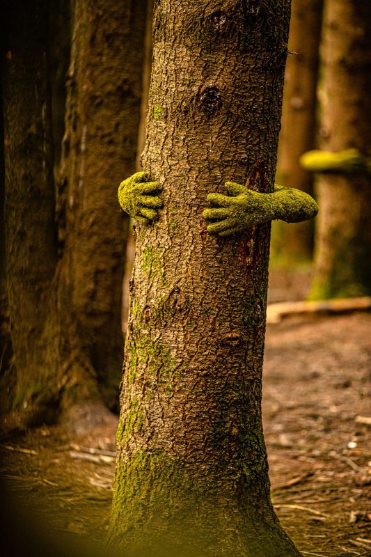 The Forest of Dean Sculpture - Monsieur Plant