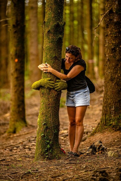 The Forest of Dean Sculpture