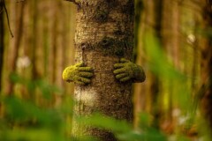 ~ The Forest of Dean Sculpture ~