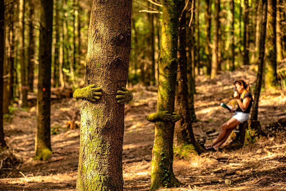 The Forest of Dean Sculpture - Mr Plant