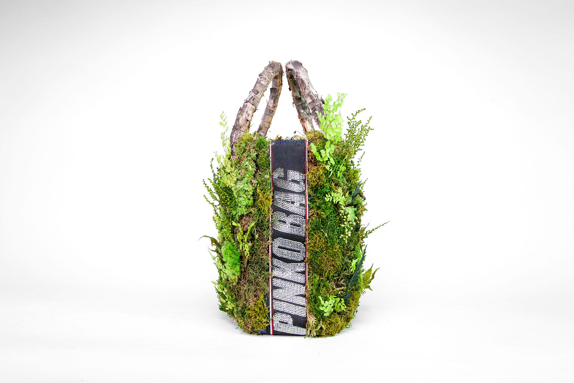 Pinko Collection - Mr Plant