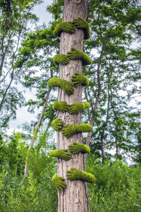 ~ Tree Hug / Louvre Lens ~