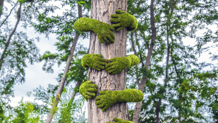 ~ Tree Hug / Louvre Lens ~