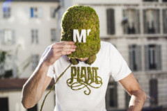 Mr Plant Collection