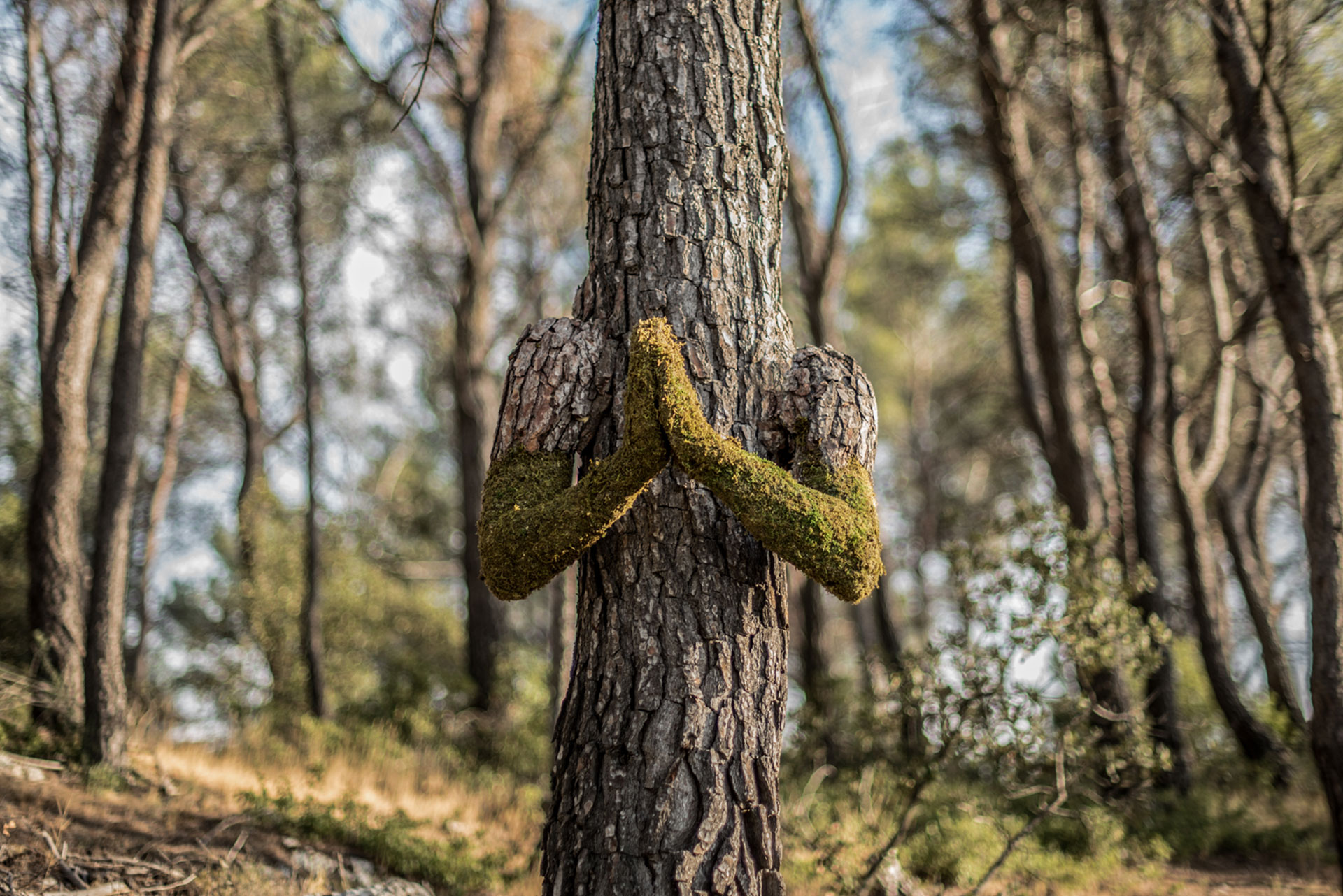 Human Tree - Monsieur Plant