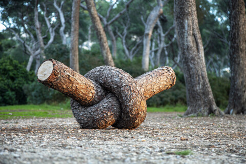 ~ Tree Knot ~