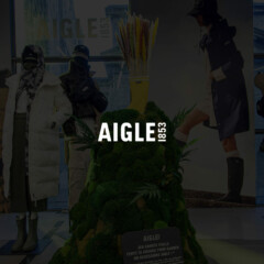 Aigle