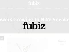 Fubiz